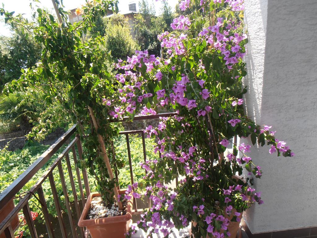 Guesthouse Villa Stanger Lovran Εξωτερικό φωτογραφία
